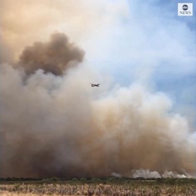 VIDEO: Plane disappears into thick smoke over Maui brush fire