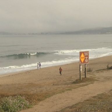 The San Mateo County Sheriff's Department issued a shark advisory for Half Moon Bay, California.