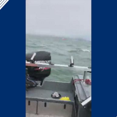 Great white shark tussles with boat 