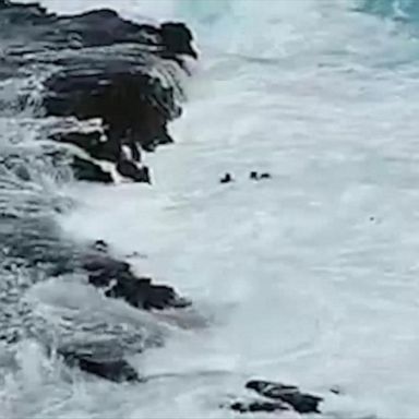 VIDEO: Couple rescued after being swept away by high surf in Hawaii