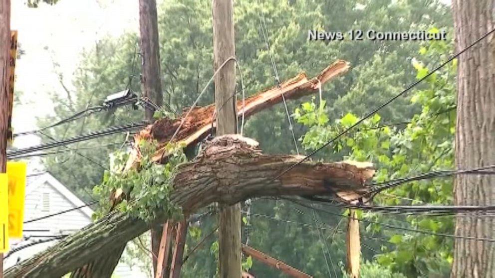 Video 21 Year Old Driver Killed By Falling Tree Branch Struck By