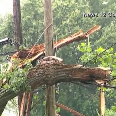 A young man was killed in Connecticut on Wednesday evening when a tree branch that was struck by lightning fell on his car, authorities said.