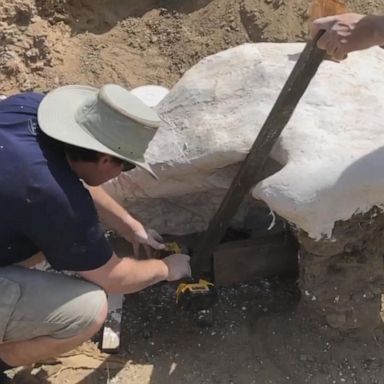 Harrison Duran, a biology student at the University of California at Merced, stumbled upon the 65-million-year-old dinosaur skull in North Dakota.