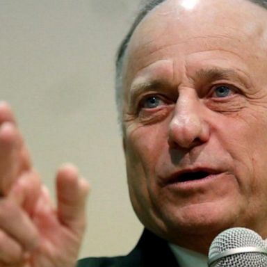 VIDEO: GOP Rep. Steve King faces backlash over rape and incest comments