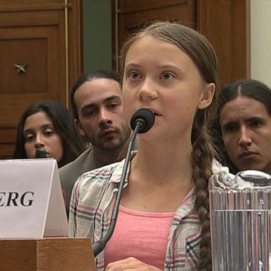 VIDEO: Teen activist Greta Thunberg urges US lawmakers to ‘listen to the scientists’