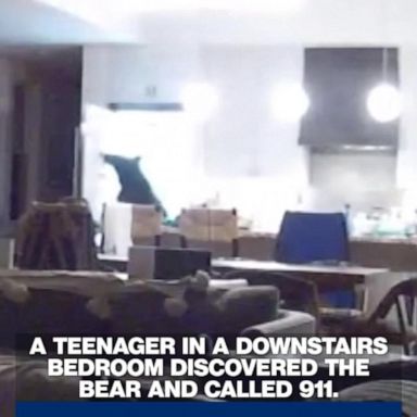 VIDEO: Bear breaks into California home