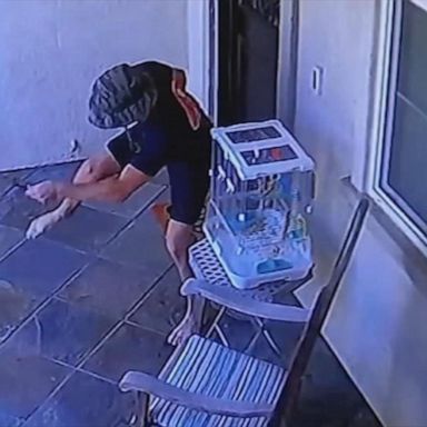 VIDEO: Rattlesnake bites 19-year-old outside California home