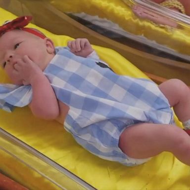 VIDEO: Newborns dress up as 'Wizard of Oz' characters