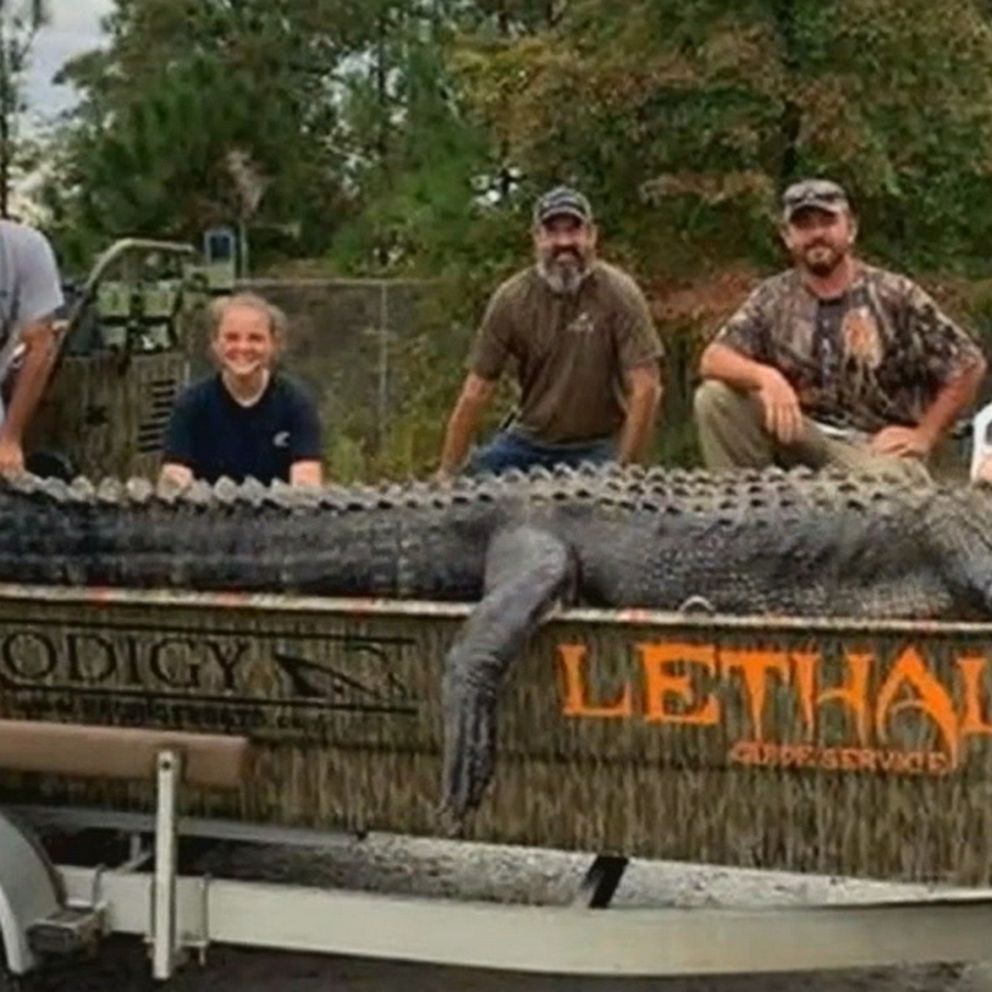 The World's Largest Gators — Google Sightseeing