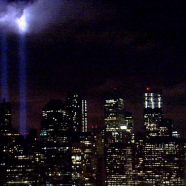 160,000 birds endangered annually by New York’s 9/11 'Tribute in Light'