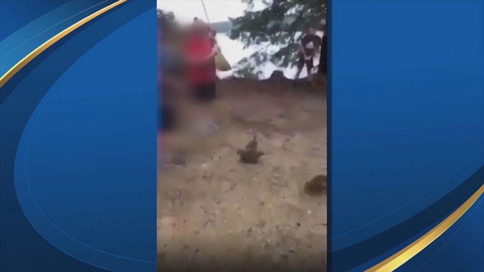 Video Of Duck Being Beaten And Killed With Broomstick By