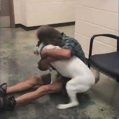 Homeless man reunites with lost dog