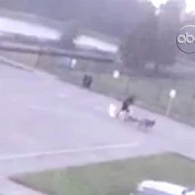 Alex Coreas was walking his three dogs near the Stuebner Airline Veterinary Hospital in Spring, Texas, when a lightning bolt knocked him off his feet and sent the dogs scurrying.