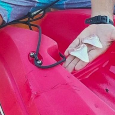 Danny McDaniel and Jon Chambers were kayaking near Ship Rock located about two miles off the coast of Catalina Island on Saturday morning when they got the surprise of their life.