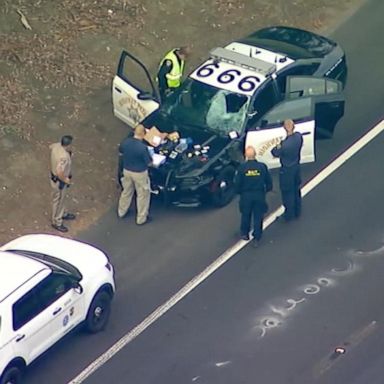 VIDEO: Uber passenger fatally struck by patrol car after jumping highway median