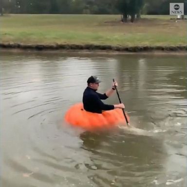 VIDEO: Man sets sail in his very own pumpkin boat