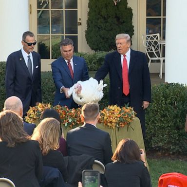 Trump tells impeachment jokes before pardoning turkey