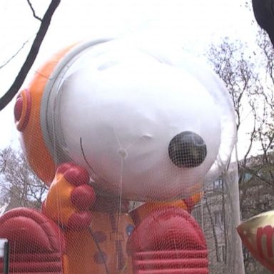 VIDEO: Behind-the-scenes at the Macy's Thanksgiving parade balloon inflation 