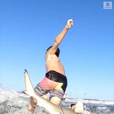 VIDEO: Small shark knocks young surfer off board