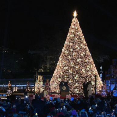 Donald and Melania Trump light National Christmas tree