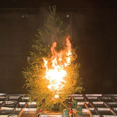 VIDEO: Demonstrating Christmas tree fire safety