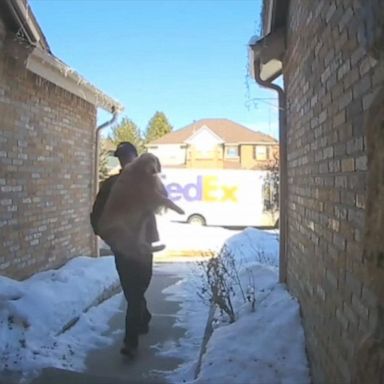 VIDEO: FedEx driver returns dog who escaped from home