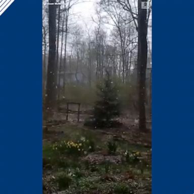 Residents of Mt. Gretna, Pennsylvania, enjoyed light snow flurries in mid-April.