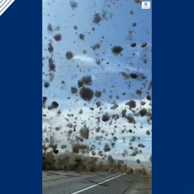 VIDEO: Dust devil picks up tumbleweeds and scatters them across the highway