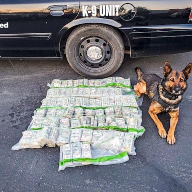 “K9 Beny usually gets all the glory in these types of incidents," police said.