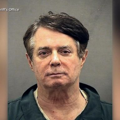 VIDEO: Manafort granted early release