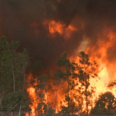 VIDEO: Wildfires consume more than 8,000 acres in FL