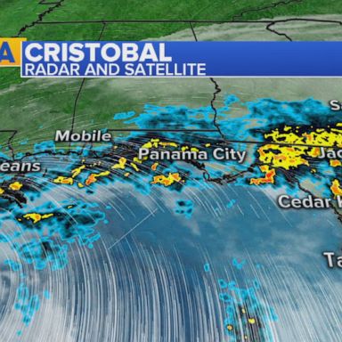 Cristobal brought seven reported tornadoes in central Florida on Saturday.