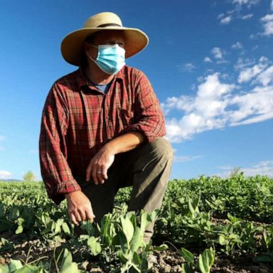 VIDEO: Bistro owner pivots to roving farm stand during pandemic