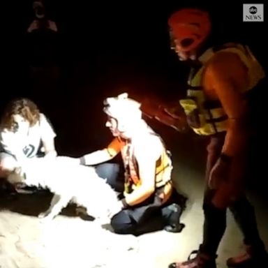 A search and rescue team in Italy safely returned a dog that was stranded on a cliffside.