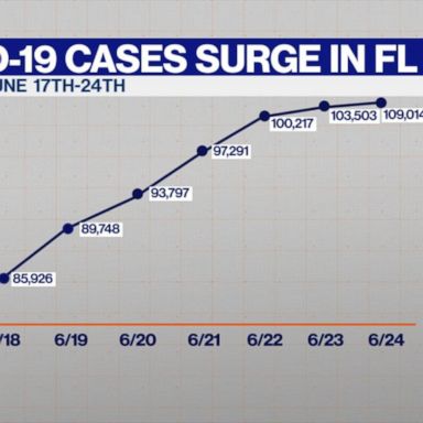 VIDEO: Florida hits 1-day record for new COVID-19 cases