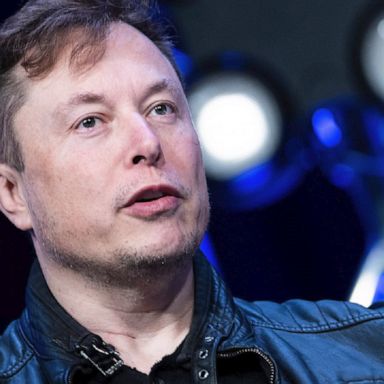 An advisory firm said that the company co-founder presents a risk to Tesla’s reputation.