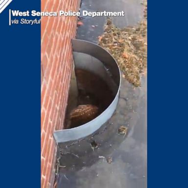 The West Seneca Police Department said the rescue took over 25 minutes.