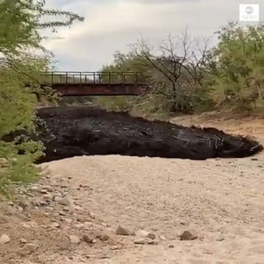 Floodwater carried the Bighorn Fire debris along a channel outside Tucson, Arizona.