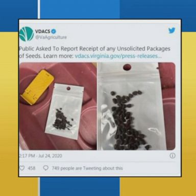 VIDEO: Mystery seed packages sent to Americans from China