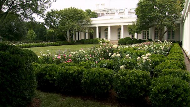 Video White House Unveils Newly Renovated Rose Garden ABC News   200822 Vod Rosegarden HpMain 16x9 608 