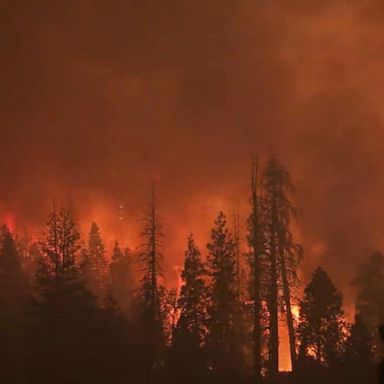 VIDEO: ABC News Live Update: Huge wildfires in western US 