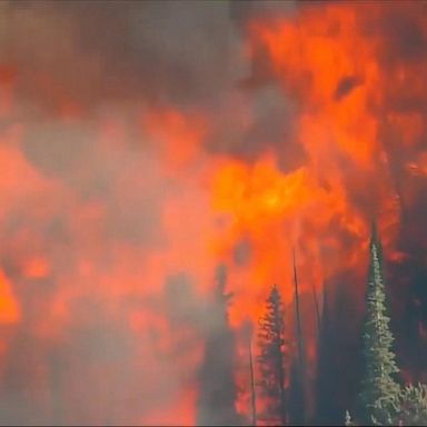 VIDEO: ABC News Live Update: Thousands evacuate as vast wildfires ravage the West