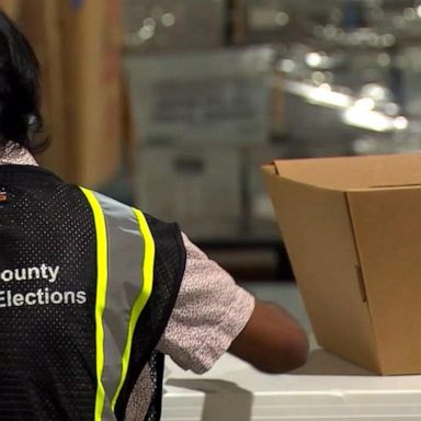 VIDEO: The volunteers protecting the right to vote