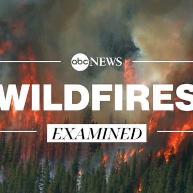 PHOTO: Wildfires in California, Oregon and Washington are some of the biggest on record, and experts said a combination of factors could continue to make them more frequent.