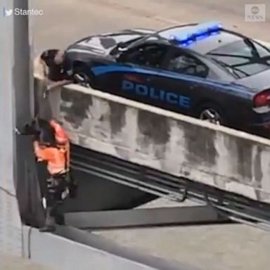 VIDEO: Bridge inspector rescues dog from ledge