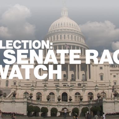 There are 35 open Senate seats in 2020, including special elections in Arizona and Georgia.