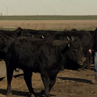 VIDEO: How Iowa farmers are viewing the 2020 race