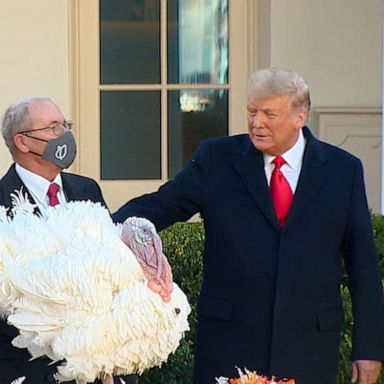 VIDEO: Trump pardons turkeys before Thanksgiving