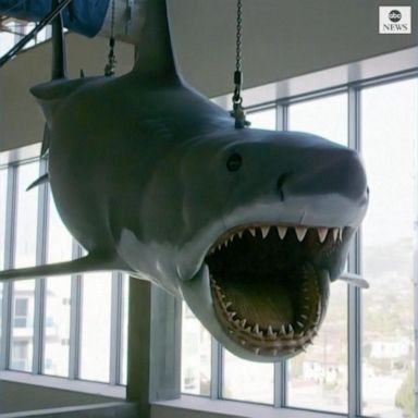 VIDEO: Bruce, the last ‘Jaws’ shark, docks at LA museum