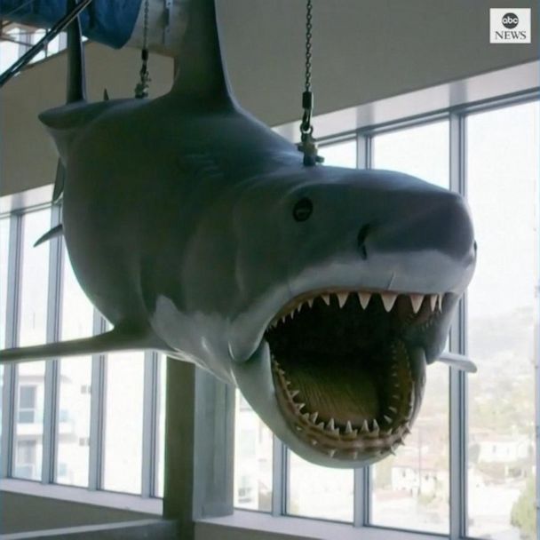 Original 'Jaws' Shark Fully Restored for Academy Museum of Motion